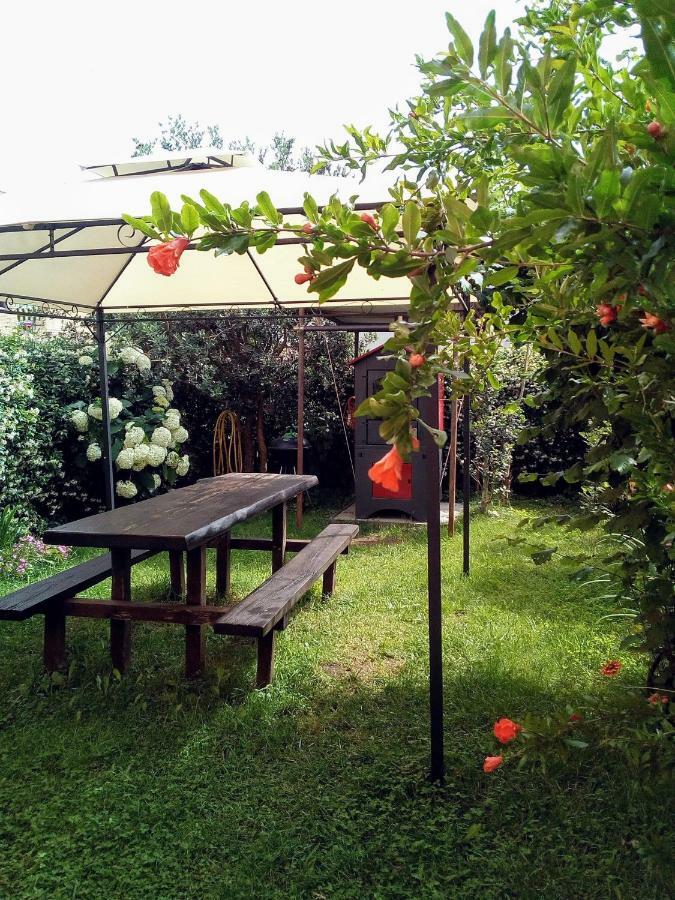 Casa Mirella Appartement Bolsena Buitenkant foto
